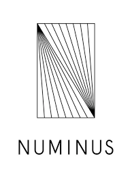 Numinus Logo